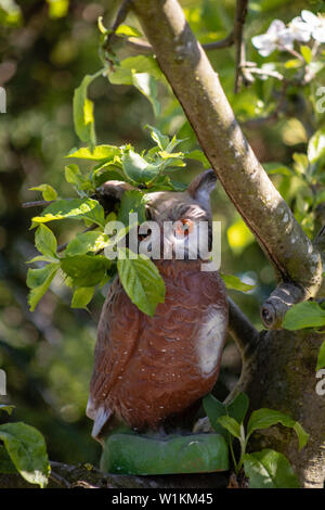 Kunststoff Eule im Baum Stockfoto