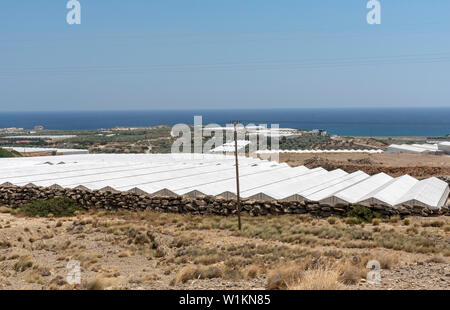 Ierapetra, Kreta, Griechenland. Juni 2019. Kunststoff überdachte Fläche für den Anbau von Kulturpflanzen, Tomaten, Gurken und Paprika. Stockfoto