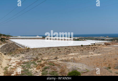 Ierapetra, Kreta, Griechenland. Juni 2019. Kunststoff überdachte Fläche für den Anbau von Kulturpflanzen, Tomaten, Gurken und Paprika. Stockfoto