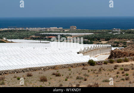 Ierapetra, Kreta, Griechenland. Juni 2019. Kunststoff überdachte Fläche für den Anbau von Kulturpflanzen, Tomaten, Gurken und Paprika. Stockfoto