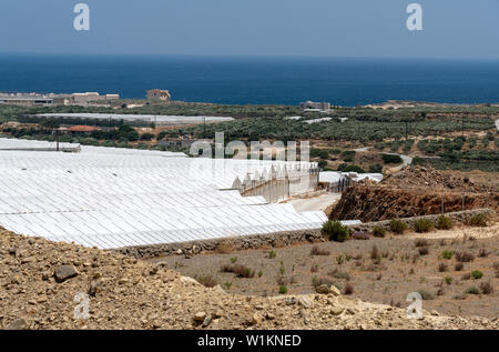 Ierapetra, Kreta, Griechenland. Juni 2019. Kunststoff überdachte Fläche für den Anbau von Kulturpflanzen, Tomaten, Gurken und Paprika. Stockfoto