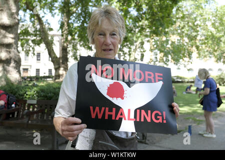 London, Greater London, UK. 29 Juni, 2019. Ein Aktivist hält ein Plakat, das sagt nicht mehr Walfang während der Weltweiten Marsch für Wale in London. Anti-whaling Aktivisten in London versammelt, um gegen Japan für den Rückzug aus der Internationalen Walfangkommission (IWC) und der Wiederaufnahme der kommerziellen Walfang zu protestieren. Sie fragen, Japan, Island und Norwegen den Walfang zu beenden. Quelle: Andres Pantoja/SOPA Images/ZUMA Draht/Alamy leben Nachrichten Stockfoto