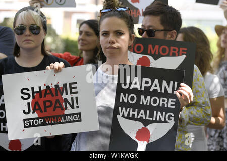 Juni 29, 2019, London, Greater London, Vereinigtes Königreich - Aktivisten halten Plakate hoch, während der globale Marsch für Wale in London.. Anti-whaling Aktivisten in London versammelt, um gegen Japan für den Rückzug aus der Internationalen Walfangkommission (IWC) und der Wiederaufnahme der kommerziellen Walfang zu protestieren. Sie fragen, Japan, Island und Norwegen den Walfang zu beenden. (Bild: © Andres Pantoja/SOPA Bilder über ZUMA Draht) Stockfoto