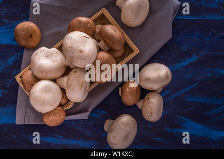 Pilze auf einem blauen Hintergrund Stockfoto