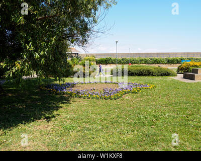 Sheerness, Kent, Großbritannien. 3. Juli 2019. UK Wetter: sonnig und heiß in Sheerness, Kent. Credit: James Bell/Alamy leben Nachrichten Stockfoto