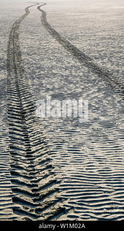 Reifen Spuren, Le Crotoy, Bay de Somme, Somme, Hauts-de-France, Frankreich Stockfoto