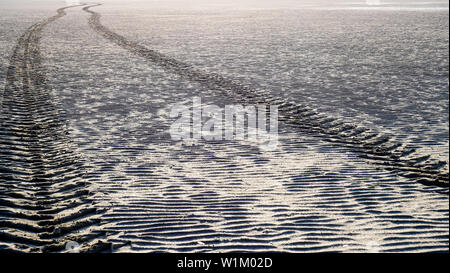 Reifen Spuren, Le Crotoy, Bay de Somme, Somme, Hauts-de-France, Frankreich Stockfoto