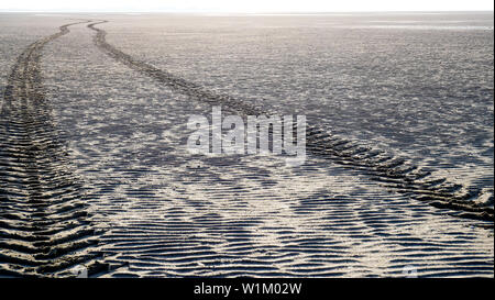 Reifen Spuren, Le Crotoy, Bay de Somme, Somme, Hauts-de-France, Frankreich Stockfoto