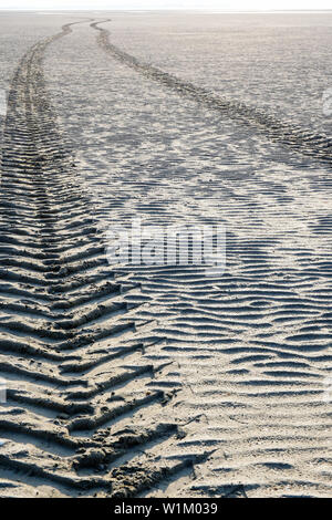 Reifen Spuren, Le Crotoy, Bay de Somme, Somme, Hauts-de-France, Frankreich Stockfoto