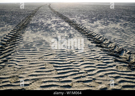 Reifen Spuren, Le Crotoy, Bay de Somme, Somme, Hauts-de-France, Frankreich Stockfoto