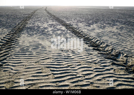 Reifen Spuren, Le Crotoy, Bay de Somme, Somme, Hauts-de-France, Frankreich Stockfoto