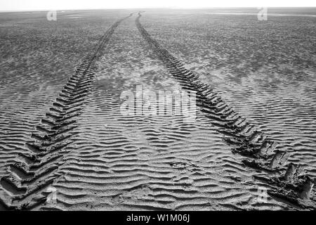 Reifen Spuren, Le Crotoy, Bay de Somme, Somme, Hauts-de-France, Frankreich Stockfoto