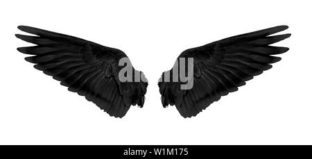 Schwarze Engelsflügel auf weißem Hintergrund. Illustration Stockfotografie  - Alamy