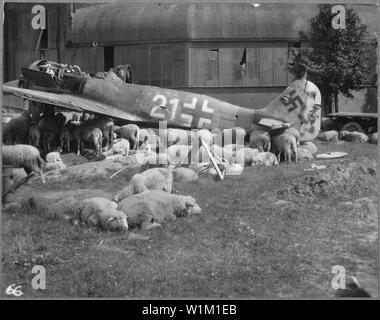 Ruinierte Flugzeug in Nürnberg, Deutschland, 1946; Umfang und Inhalt: Verwenden von Krieg und Konflikt Nummer 1321 bei der Bestellung eine Reproduktion oder Anforderung von Informationen zu diesem Bild. Dieses Bild ist Teil der Goddard Sammlung. Allgemeine Hinweise: Wrack eines Deutschen Focke-Wulf Fw 190 A-8 Fighter (Seriennummer 682989) in der Nähe von Nürnberg, Bayern (Nürnberg, Bayern), 1946. Diese Fw 190A-8 wurde aus einer Charge von Fieseler in Kassel gebaut. Der Rumpf bands scheinen gelb/rot werden, das Weiß 21 Als JG 301 (301 Fighter Wing) Flugzeuge, der allerdings nicht in der Nähe von Nürnberg identifizieren würde. Die 13 mm-m Stockfoto