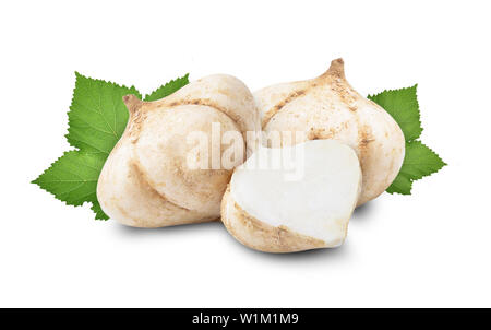 Jicama auf weißem Hintergrund Stockfoto