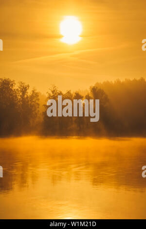 Atemberaubenden Sonnenaufgang über dem See im Sommer. Sonnenstrahlen, die durch die Bäume. Epische Landschaft. Stockfoto