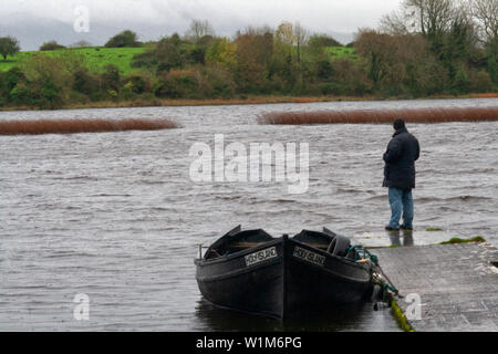 Am Ufer des Lough Derg, County Clare Blick auf Holy Island (Inis Cealtra) Stockfoto