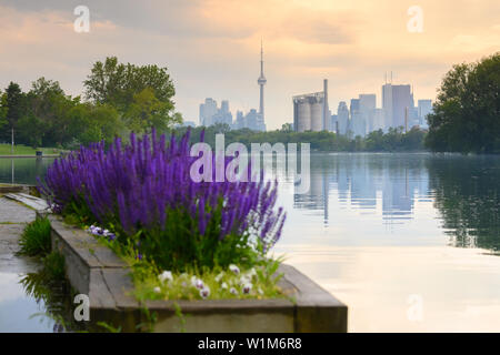 Die Sonne bricht durch die Wolken nach schweren Regenfällen an ashbridges Bay Park in Toronto, Ontario. Stockfoto