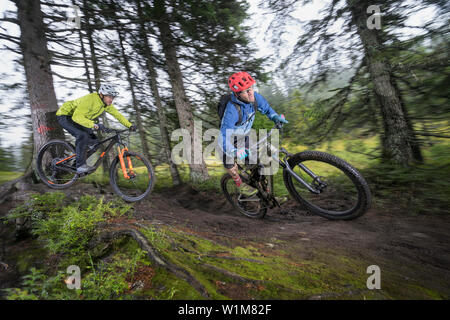 Zwei Mountainbiker Reiten durch den Wald, Saalfelden, Tirol, Österreich Stockfoto