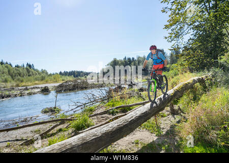 Biker reiten auf Baumstamm in Wald, Bayern, Deutschland Stockfoto