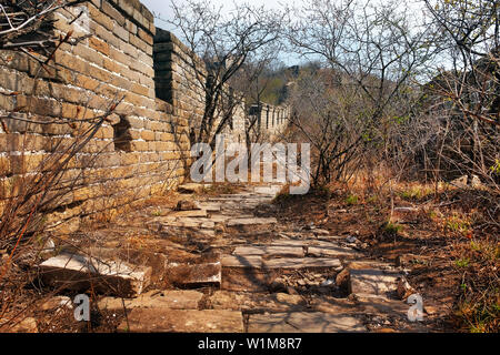 Panoramablick auf die beschädigte Jiankou-Abschnitt der Grossen Mauer von China, in der Nähe von Mutianyu, von grünen und gelben Vegetation unter kaltem bl umgeben Stockfoto