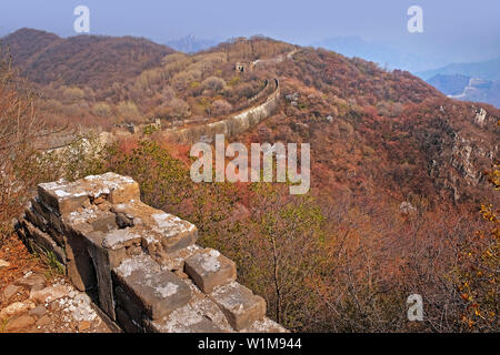 Panoramablick auf die beschädigte Jiankou-Abschnitt der Grossen Mauer von China, in der Nähe von Mutianyu, von grünen und gelben Vegetation unter kaltem bl umgeben Stockfoto