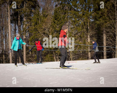 Die Teilnehmer lernen Langlauf Kurs mit Lehrerin, Schwarzwälder, Baden-Württemberg, Deutschland Stockfoto
