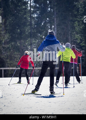Die Teilnehmer lernen Langlauf Kurs mit Lehrerin, Schwarzwälder, Baden-Württemberg, Deutschland Stockfoto