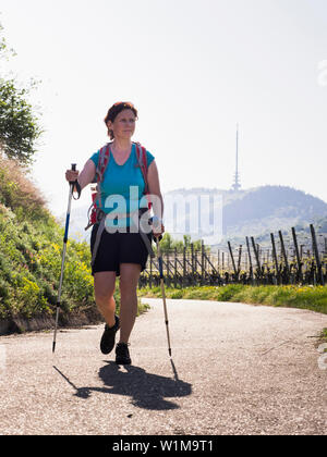 Frau wandern durch die Weinbergterrassen, "Baden Württemberg", Deutschland Stockfoto