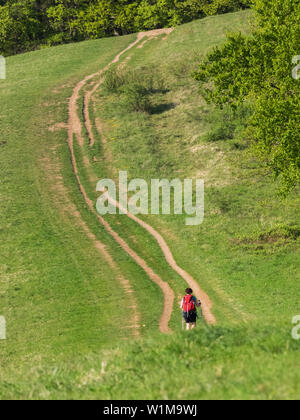 Frau Wandern auf Fußweg durch Wiese in der Nähe von Mondhalde", Baden Württemberg, Deutschland Stockfoto