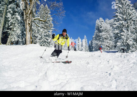 Zwei Personen zurück - Langlauf Abfahrt durch Winter Forest, Sonntagshorn, Chiemgau, Salzburg, Österreich Stockfoto