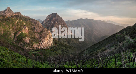 Blick auf die bergige Landschaft, verbrannten Bäume von Wildfire in Los Roques, Parque Nacional de Garajonay, La Gomera, Kanarische Inseln, Spanien Stockfoto