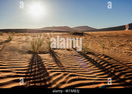 Silhouette der Wüste bei Sonnenaufgang Sossusvlei, Namibia, Afrika Stockfoto