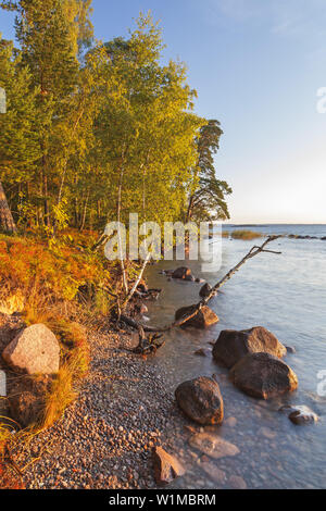 Ufer des Sees Vättern in der Nähe von karlsborg am Morgen, February, Götaland, Süd Schweden, Schweden, Skandinavien, Nordeuropa, Europa Stockfoto