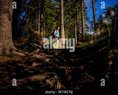 Frauen wandern durch Wald und Felsen am Lac Blanc, Vogesen, Frankreich Stockfoto