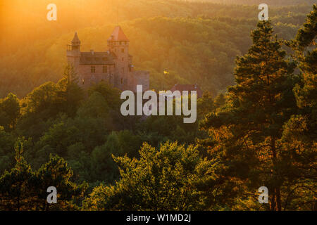 Die Sonne beleuchtet Burg Berwartstein bei Erlenbach in der Nähe von Dahn, Pfälzer Wald, Rheinland-Pfalz, Deutschland Stockfoto