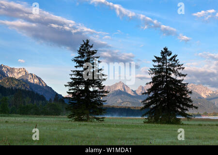 Blick auf den Bannwaldsee, Tannheimer Berge, Allgäu, Bayern, Deutschland Stockfoto