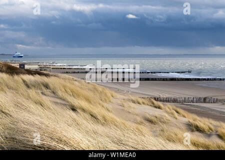 Küste, Sandstrand, Buhne, Westkapelle in der Nähe von Domburg, Nordseeküste, Zeeland, Niederlande Stockfoto