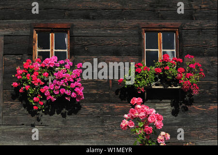 Bauernhof mit Blumenkästen, Vinschgau, Trentino-Alto Adige/Südtirol, Österreich Stockfoto