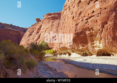 Paria River, Paria Canyon - Vermillion Cliffs Wilderness, Weißes Haus Trailhead, Windows, Utah, USA, Nordamerika Stockfoto