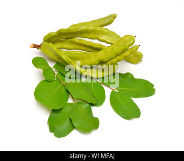 Grüne Johannisbrot Schoten mit Blättern. Auf weissem Hintergrund. Stockfoto