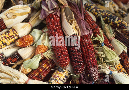 Highlight, Atwater Markt, Montreal, Quebec, Canada Stockfoto