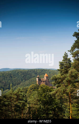 Burg Berwartstein Burg, Erlenbach, Pfälzer Wald, Pfalz, Rheinland-Pfalz, Deutschland Stockfoto