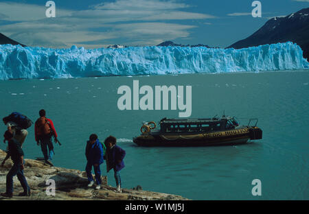 Perito Moreno-Gletscher, Lago Argentino, Nationalpark Los Glacieres Vicuna Stockfoto