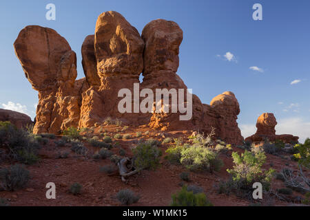 Sandsteinformationen, Garten Eden, Elephant Butte, Arches National Park, Moab, Utah, USA Stockfoto