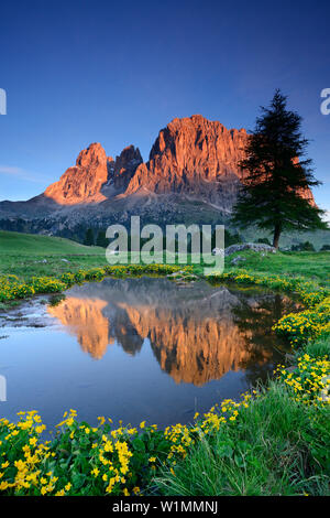 Langkofel in Mountain Lake, Langkofel, Dolomiten, UNESCO Weltnaturerbe Dolomiten, Südtirol, Italien Stockfoto