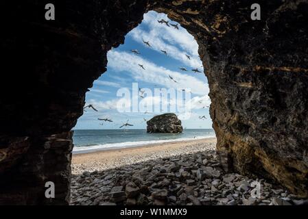 Marsden Rock, South Shields. Würde der erhielt abgedeckt, so hatte 😂 zu warten Stockfoto