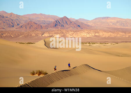 Blick über Mesquite flachen Sand Dünen von Stovepipe Wells Village in Richtung Amargosa Range, Death Valley National Park, Kalifornien, USA, Nordamerika Stockfoto