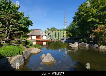 Teehaus im japanischen Garten, Fernsehturm im Hintergrund, Planten un Blomen, Hamburg, Deutschland Stockfoto