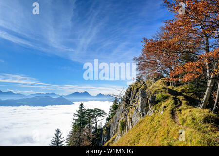 Frau, die an der Felswand und Suchen in Richtung Nebel im Tal des Inn, Wendelstein im Hintergrund, Blick vom Heuberg, Heuberg, Chiemgau Chiemgauer Alpen, Stockfoto